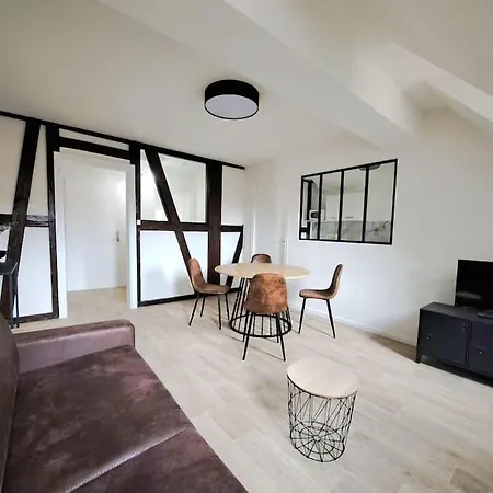 Lägenhet Chez Vincent - Centre Historique De Avec Parking Inclus Colmar