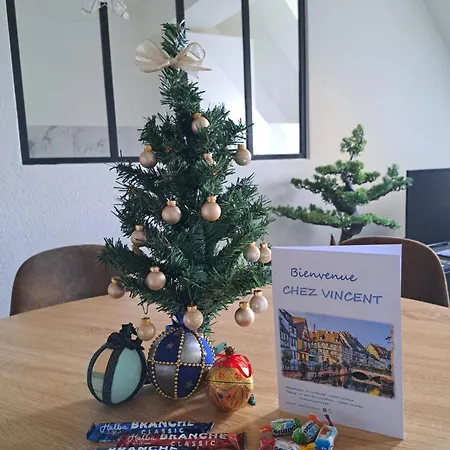 Chez Vincent - Centre Historique De Avec Parking Inclus Colmar