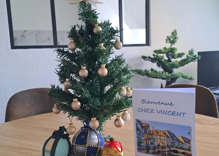 Chez Vincent - Centre Historique De Avec Parking Inclus Colmar