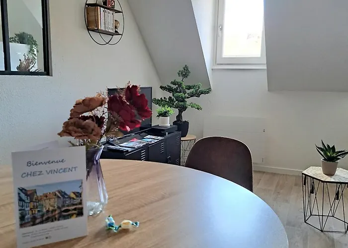 Chez Vincent - Centre Historique De Avec Parking Inclus * Colmar