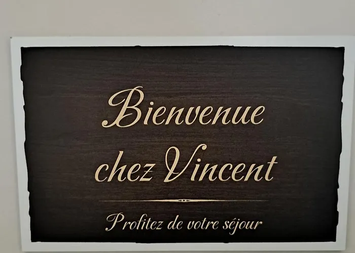 Chez Vincent - Centre Historique De Avec Parking Inclus Apartment