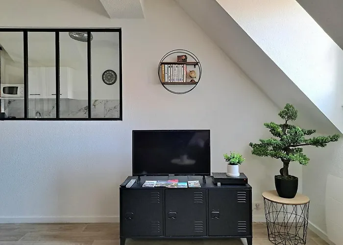 Chez Vincent - Centre Historique De Avec Parking Inclus Colmar